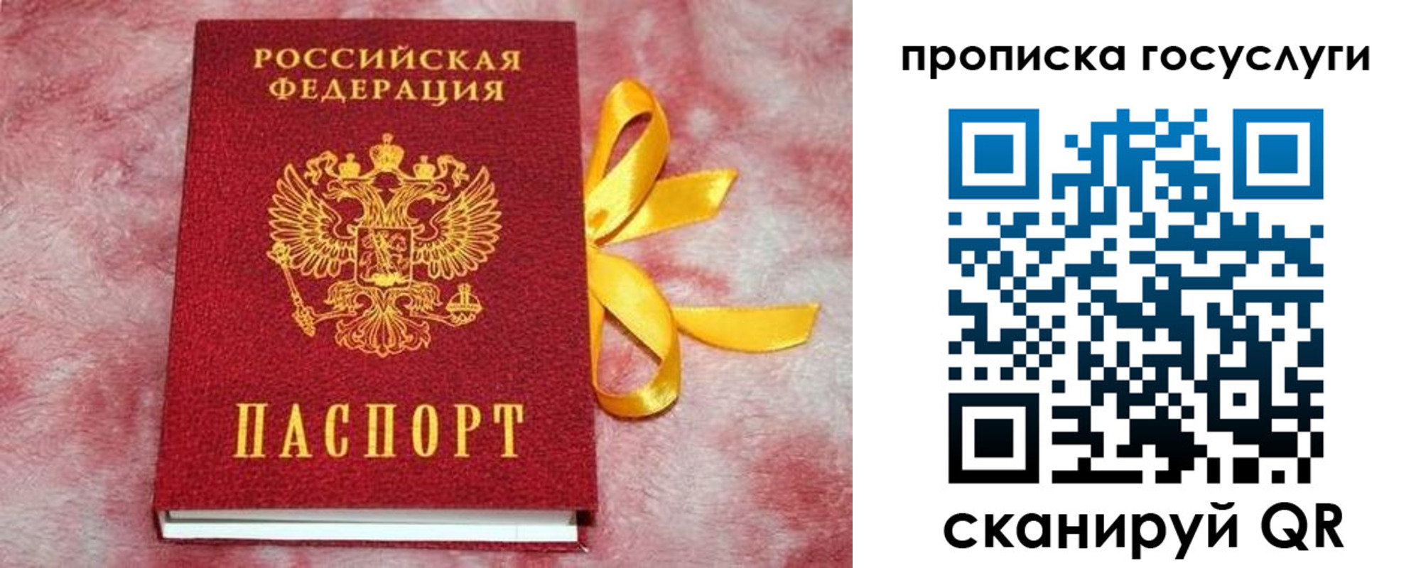 прописка законно в Каргате
